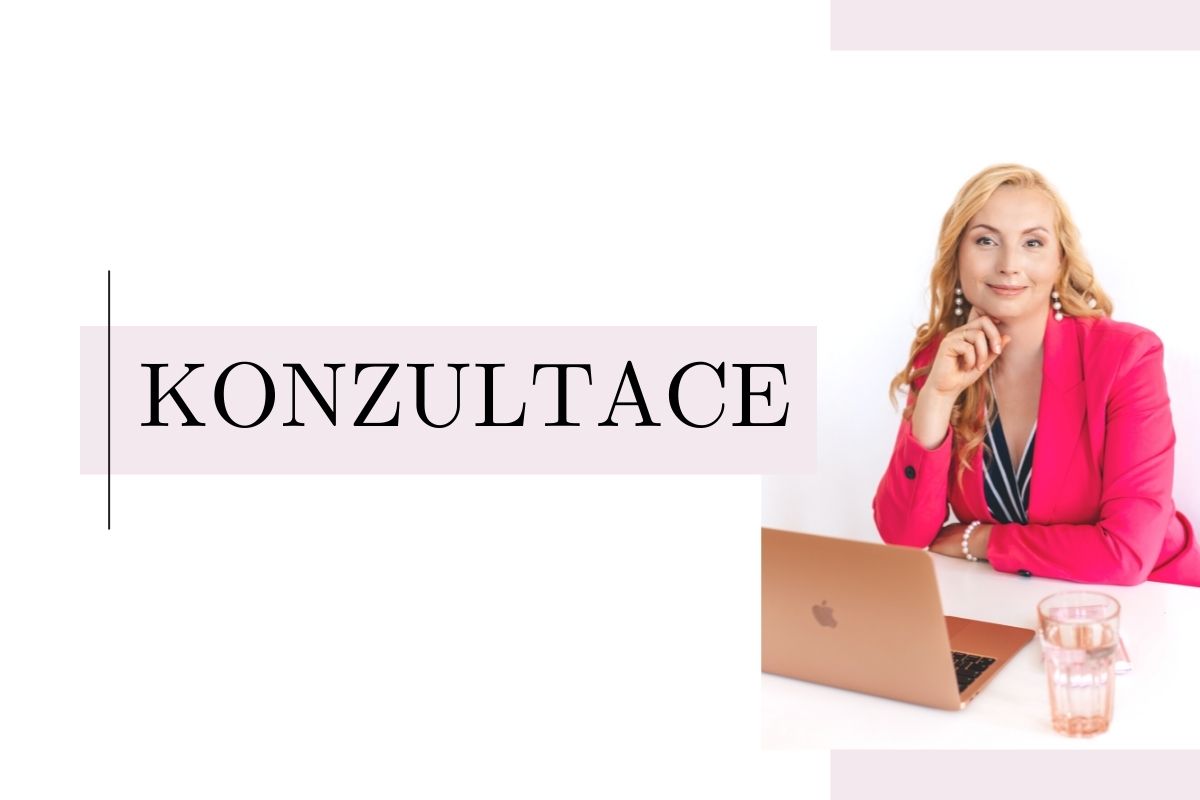 konzultace