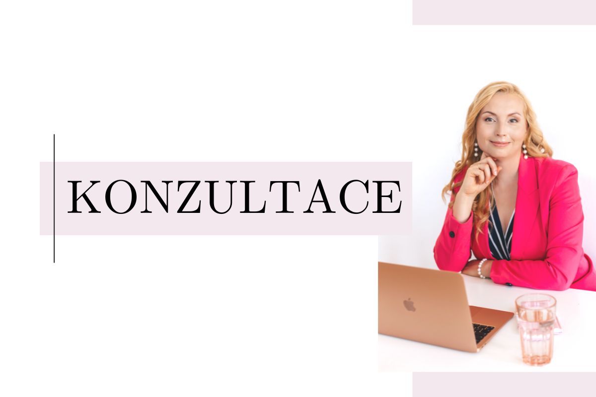 konzultace